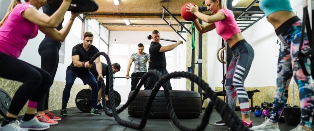 Musculation