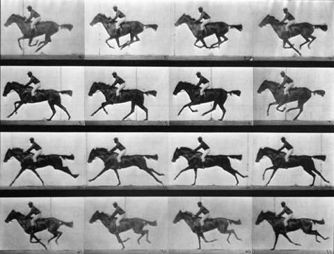 Series De Photographies Representant Le Galop Dun Cheval Par Muybridge 1887