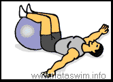 Abdo ABS - Lumbar Roll