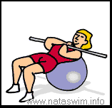 Abdo ABS - Crunch on Ball with Bar
