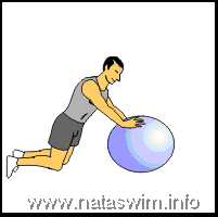 Abdo ABS - Kneeling Shoulder Rollout