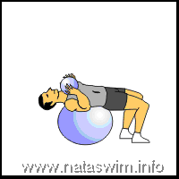 Abdo ABS - Full Situp  Rotation