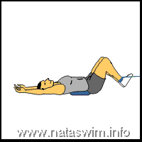 Abdo ABS - Reverse Crunch with disc and bands