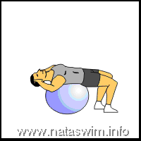 Abdo ABS - Crunch (arms behind head)