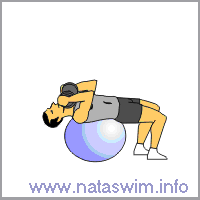 Abdo ABS - Weighted Stability Ball Crunch
