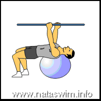 Abdo ABS - Rollover with Stability Ball