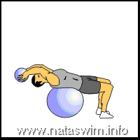 Abdo ABS - Med ball toss and crunch