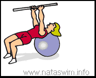 Abdo ABS - Crab Walk with Bar on Ball