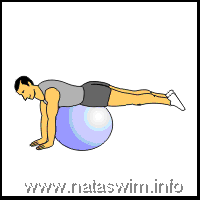 Abdo ABS - Single Leg Curl ON ball