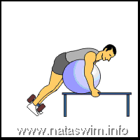 Abdo ABS - Reverse Hyper on Ball and Bench