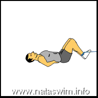 Abdo ABS - Reverse Crunch with fit band