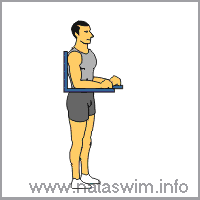 Abdo ABS - Vertical Hip Raise