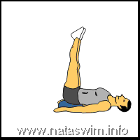 Abdo ABS - Unilateral Leg Raise on balance disc