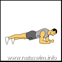 Abdo ABS - Elbow Stabilization