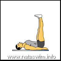 Abdo ABS - Hip Thrusts