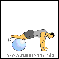 Abdo ABS - Prone Plank Rotation on the ball