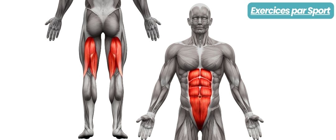 Exercices par Sport