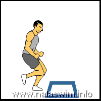 Leg Forward Back Hop over Line