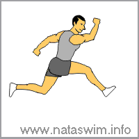 Bounding