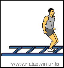 Zigzag in ladder