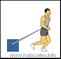 Heavy Sled Pulls