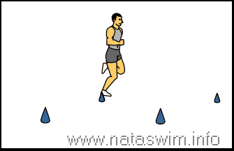 Z-Pattern Runs