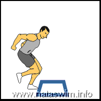 Leg Forward Back Hop over Square