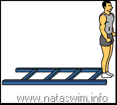 Bunny Jumps