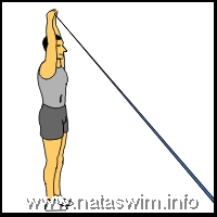 High Pull with Band