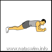 Bridge (Plank) on elbows