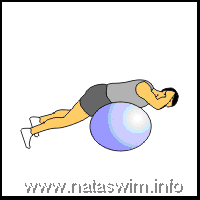 Low Back Extension