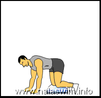 BOSU Quadruped Arm Leg Raise