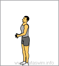 Burpees