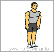 Count Body Builders