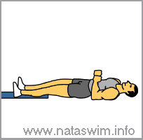 Slide board hamstring curls