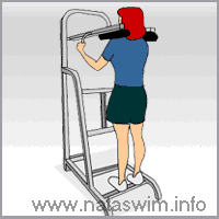 Standing Machine Calf Raise