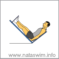 45 Leg Press