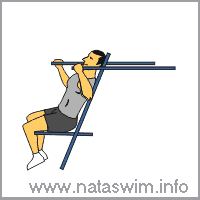 Seated Shoulder Press (lever)