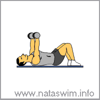 Bench Press (dumbbell)