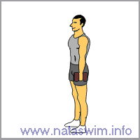 Dumbbell Hammer Curl