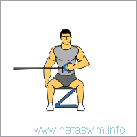 Seated External Rotation with Band