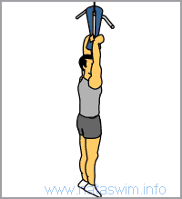 Towel Chin-ups