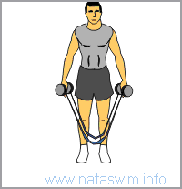 Forward Lunge with resistance