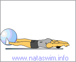 Ball Transfer Crunch