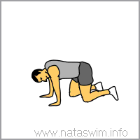 Single Leg Kickbacks