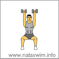 Seated Dumbbell Shoulder Press