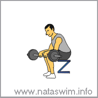 Seated Barbell Reverse Curl