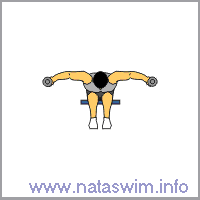 Dumbbell Seated Rear Lateral Raise
