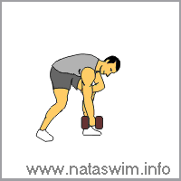 One Arm Bent Over DB Row