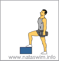 Box Step with Dumbbell & Knee Drive